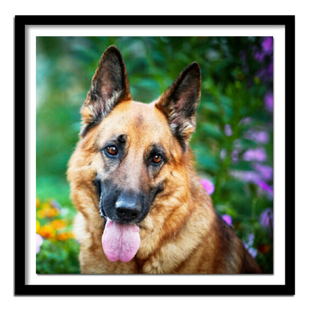 Wolf Dog Diamond Painting Home Decoration