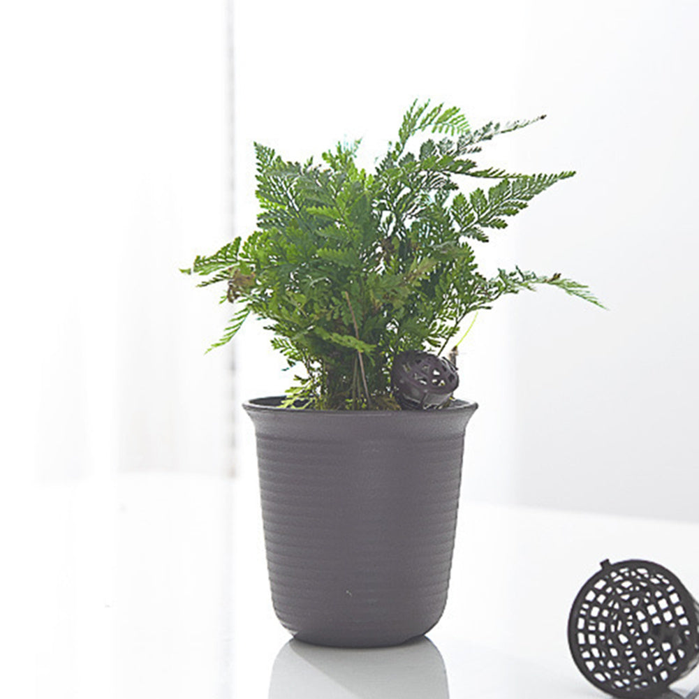 Fertilizer Box For Potted Plants With Succulent Green Plants Pellets