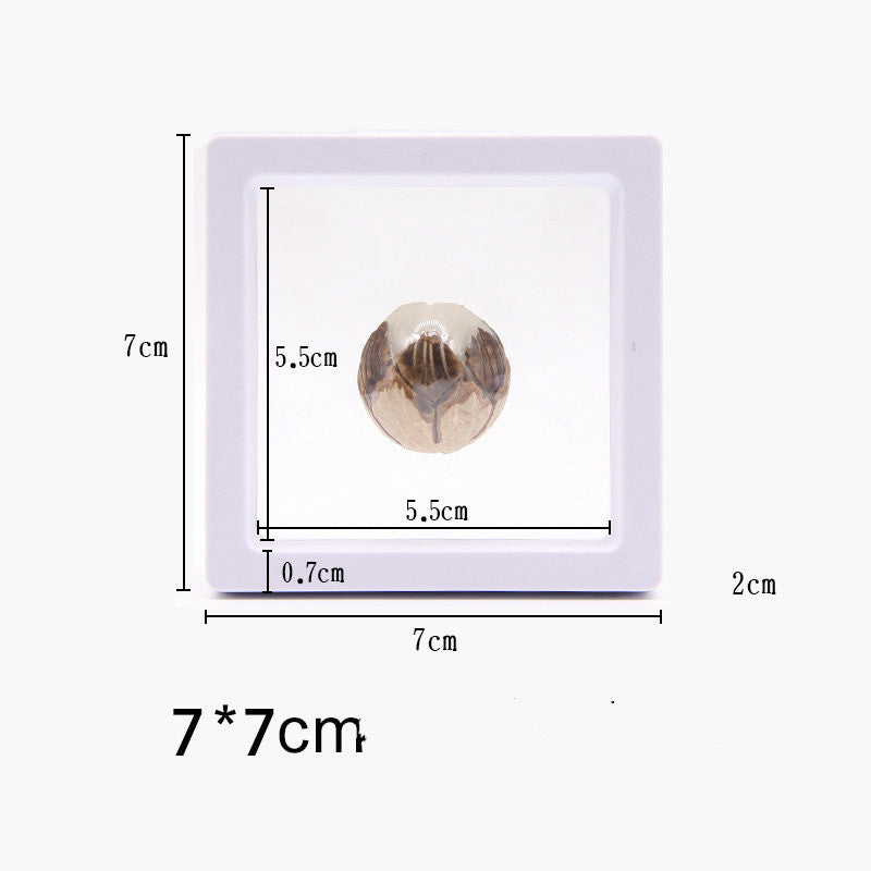 Suspended Case 3D Floating Display Frame Holder Box Case Wth Stand