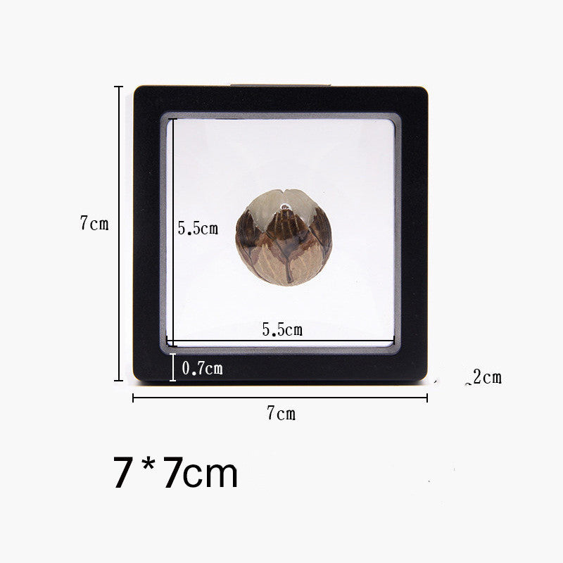 Suspended Case 3D Floating Display Frame Holder Box Case Wth Stand