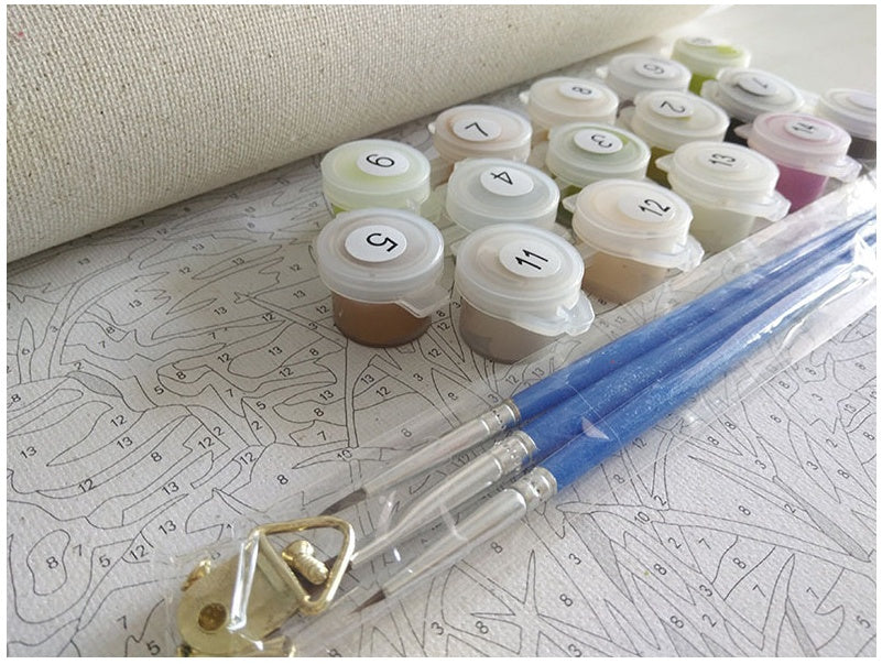 40X50cm DIY Oil Painting Home Decoration Painting N Frame