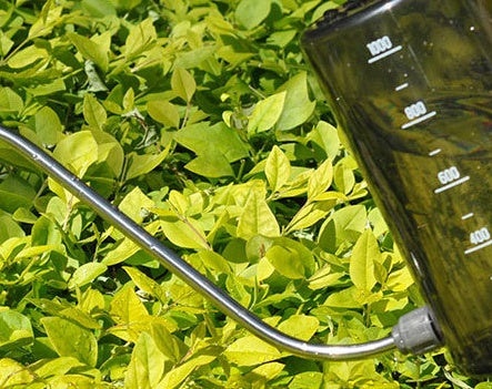 Stainless Steel Long Mouth Plastic Watering Pot Meat Sprinkling Pot Green Plant Pot Sprinkling Pot Large Gardening Tool