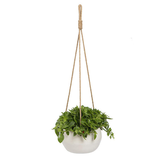 Spot Nylon Rope Hemp Rope Wall Hanging Ceramic Flowerpot- Indoor Succulent Potted Decoration
