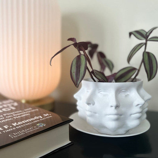 3D Face Multi-faceted Flower Pot Resin Crafts