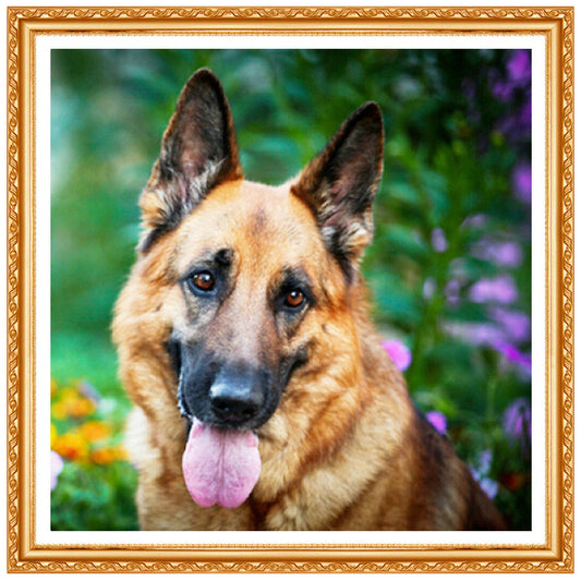 Wolf Dog Diamond Painting Home Decoration