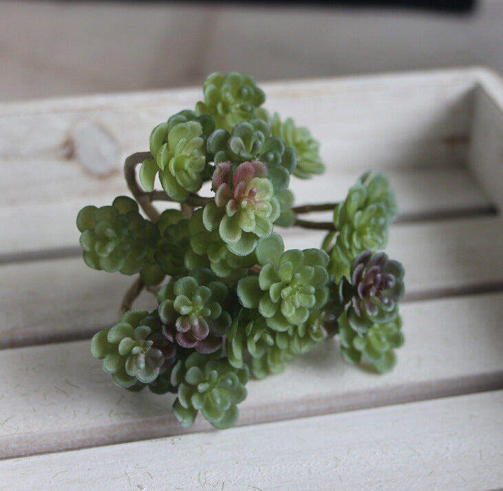 Succulent Micro Landscape Plants Living Room Home Store Decoration