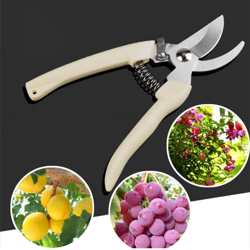 Stainless Steel Fruit Tree Gardening Pruning Branches Garden Labor-saving Flower Pruning Shears Household Strong Shears