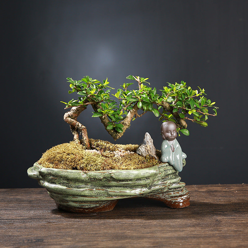 Ge Kiln Purple Sand Succulent Creative Green Plants Potted Ceramic Bonsai Flower Pot