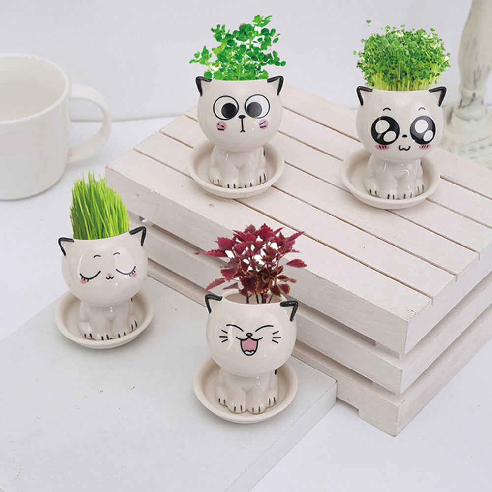 Children Planting Small Potted Plants Decoration Desktop Cute Cat Doll DIY Long Grass Plant