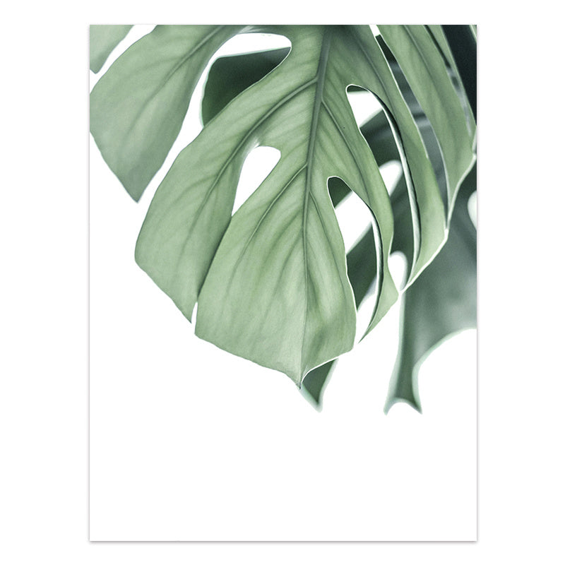Nordic Style Tropical Plants Poster Green Leaves Canvas Print