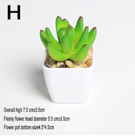 Simulated succulents mini potted plants