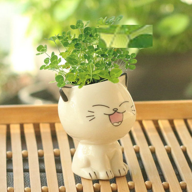 Children Planting Small Potted Plants Decoration Desktop Cute Cat Doll DIY Long Grass Plant