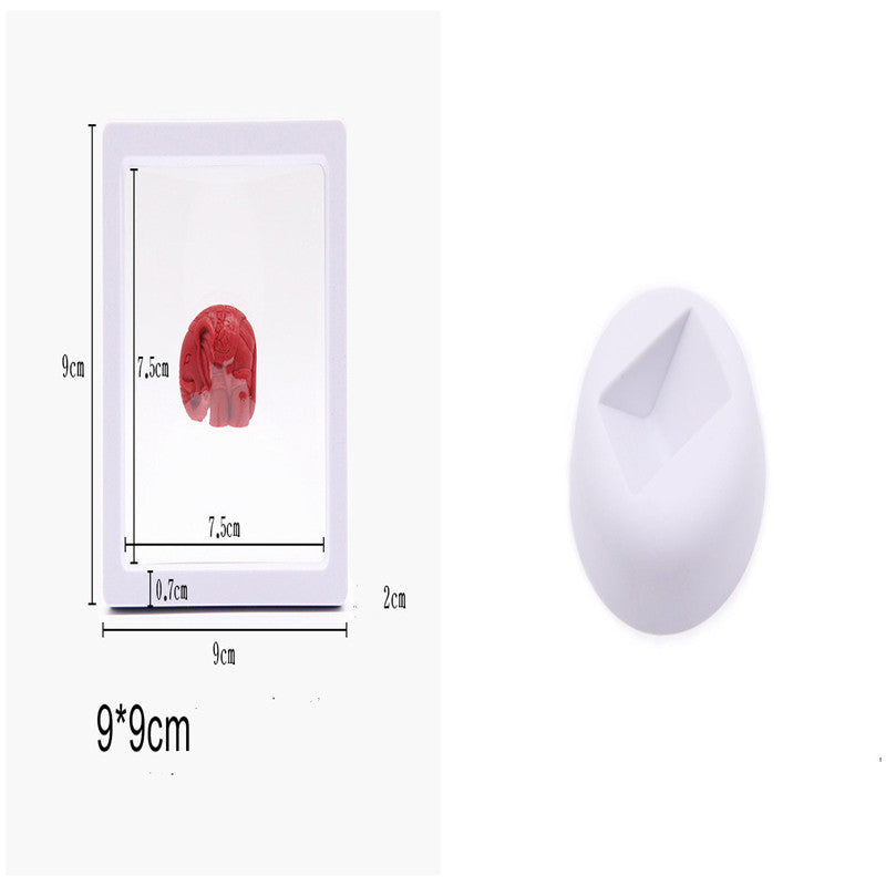 Suspended Case 3D Floating Display Frame Holder Box Case Wth Stand