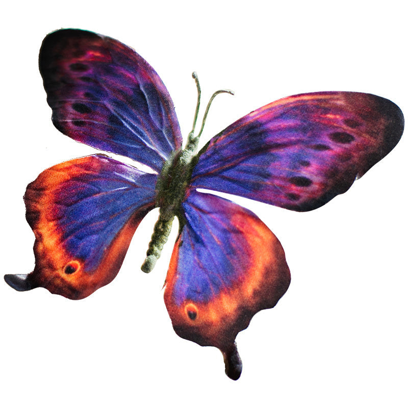 Three-dimensional Simulation Butterfly Clip Living Room Decoration