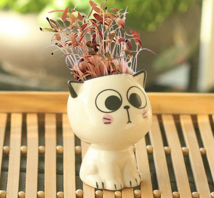 Children Planting Small Potted Plants Decoration Desktop Cute Cat Doll DIY Long Grass Plant