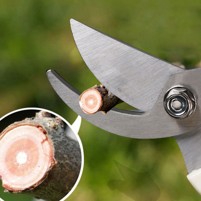Stainless Steel Fruit Tree Gardening Pruning Branches Garden Labor-saving Flower Pruning Shears Household Strong Shears