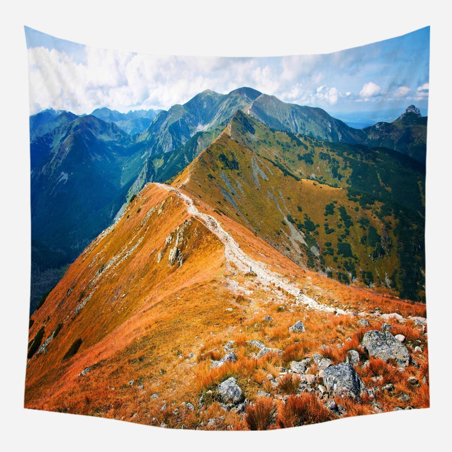 Digital Printing Masking Cloth Landscape Tapestry