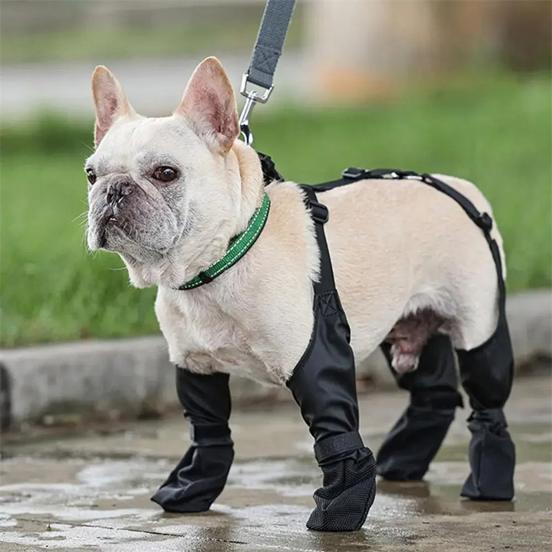 Waterproof Dog Shoes | Adjustable Non-Slip Pet Boots | Outdoor Paw Protector