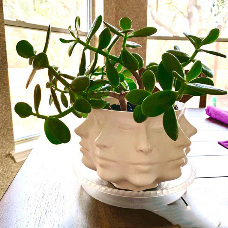3D Face Multi-faceted Flower Pot Resin Crafts