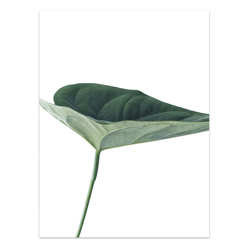 Nordic Style Tropical Plants Poster Green Leaves Canvas Print