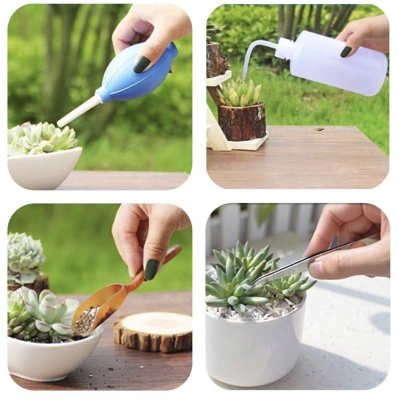 Gardening Tool Set â€?Potted Scissors, Succulent Spray Bottle & Seedling Lifter