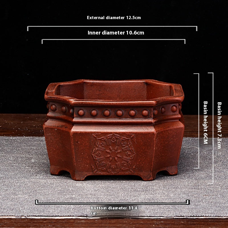 Antique Old Household Desk Flowers And Green Plants Succulent Plant