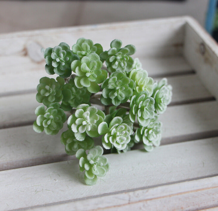 Succulent Micro Landscape Plants Living Room Home Store Decoration