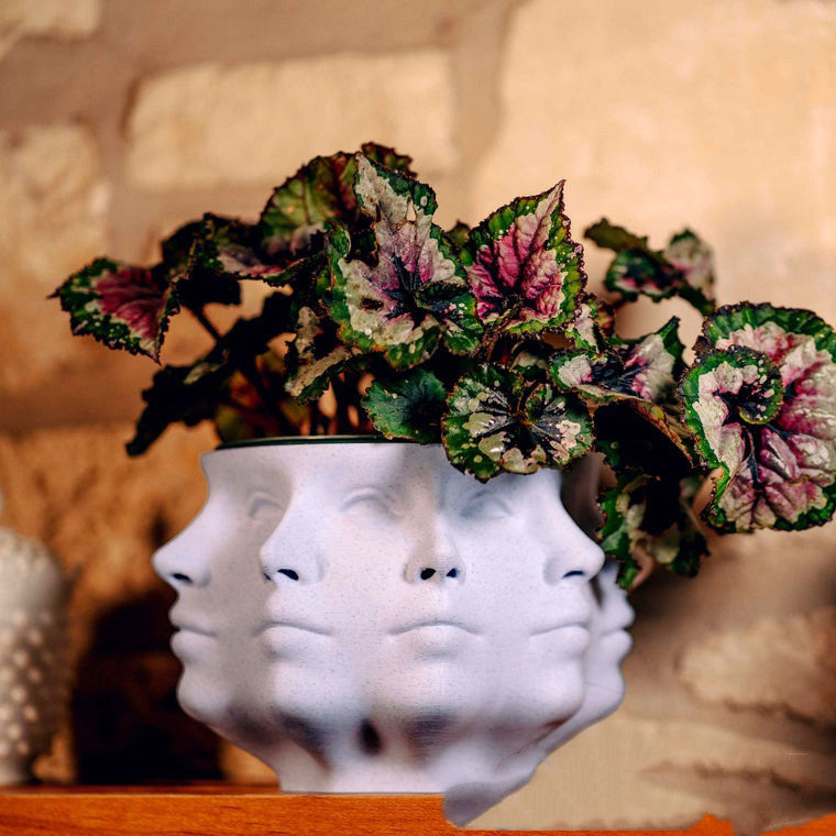 3D Face Multi-faceted Flower Pot Resin Crafts