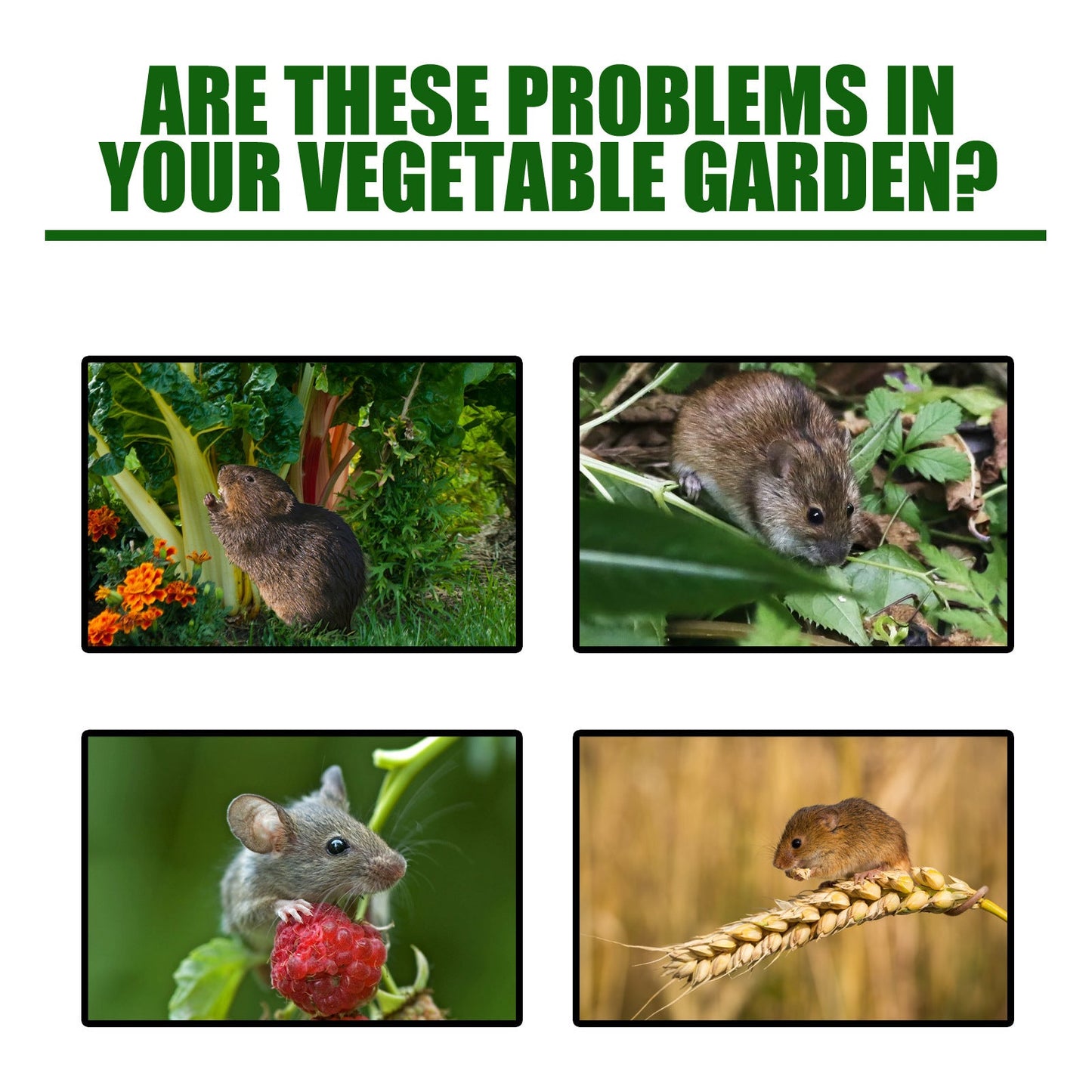 Rat Repellent Pill Bag Gardening Household