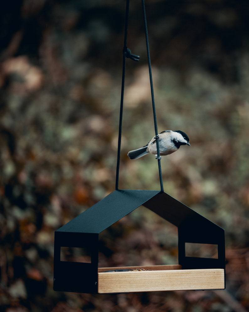 Outdoor Gardening Garden Decoration Hanging Bird Feeder