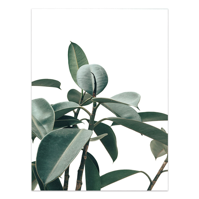 Nordic Style Tropical Plants Poster Green Leaves Canvas Print