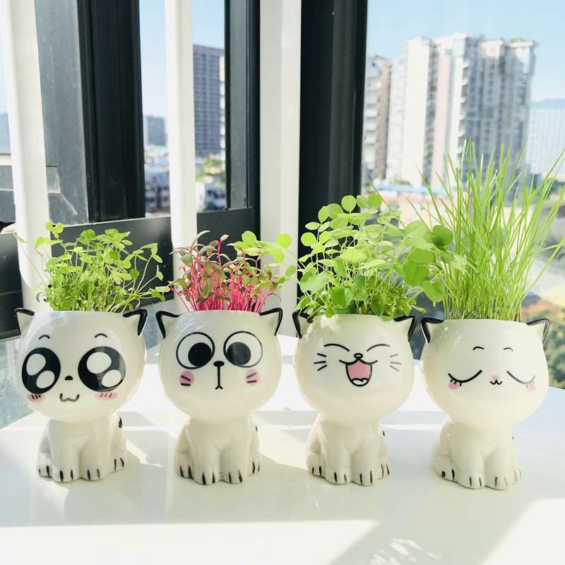 Children Planting Small Potted Plants Decoration Desktop Cute Cat Doll DIY Long Grass Plant